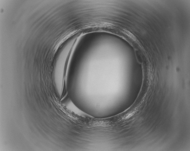 X0000053010826200507291705