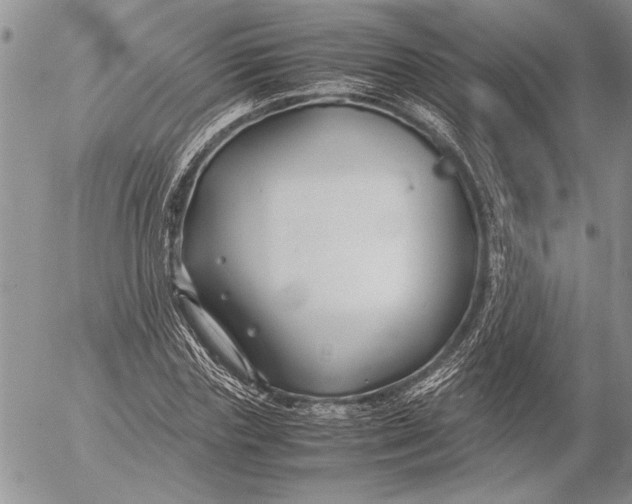 X0000053010827200507291705