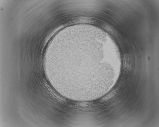 X0000053010828200507291705