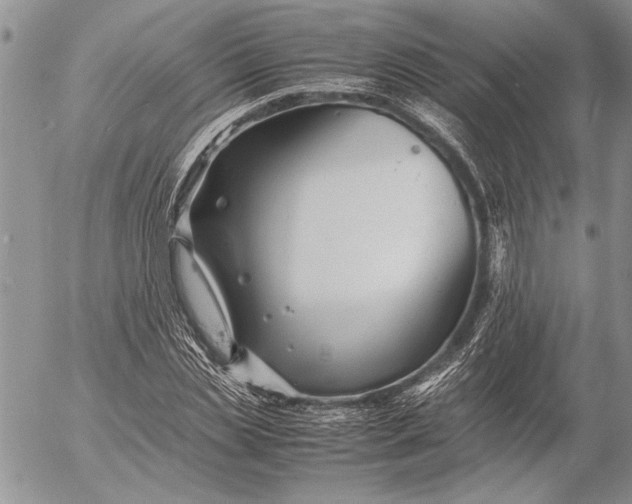 X0000053010829200507291705