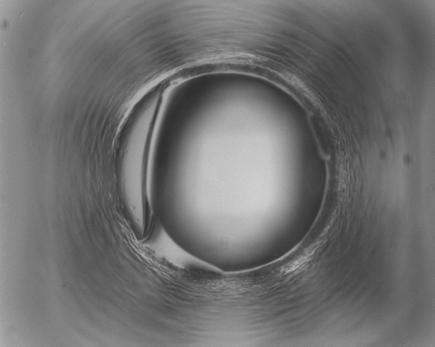 X0000053010830200507291705