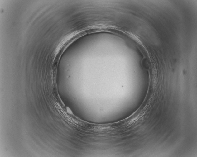 X0000053010831200507291705