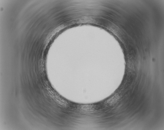 X0000053010832200507291705