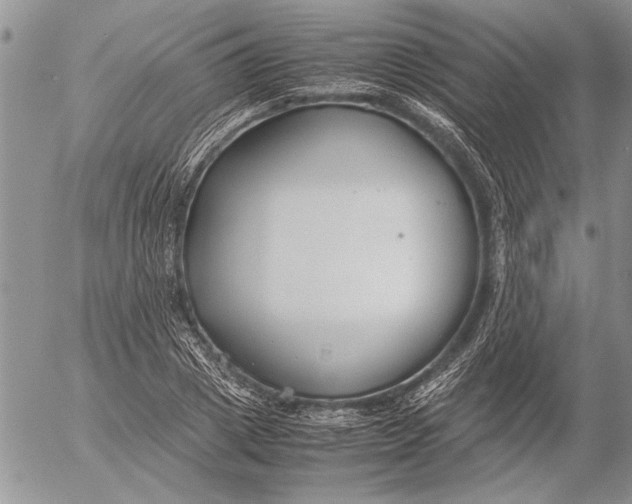 X0000053010833200507291705