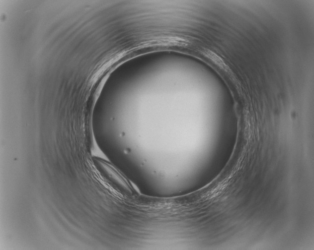 X0000053010834200507291705