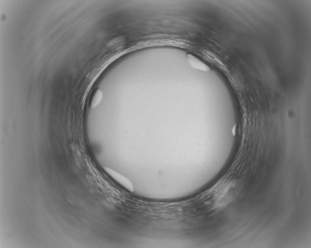 X0000053010836200507291706