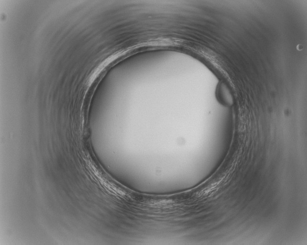 X0000053010837200507291706