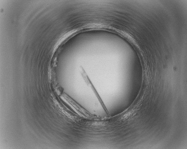 X0000053010839200507291706