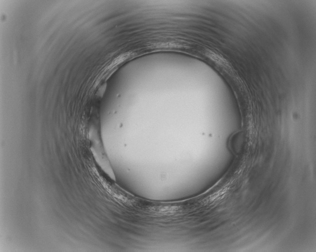 X0000053010841200507291706