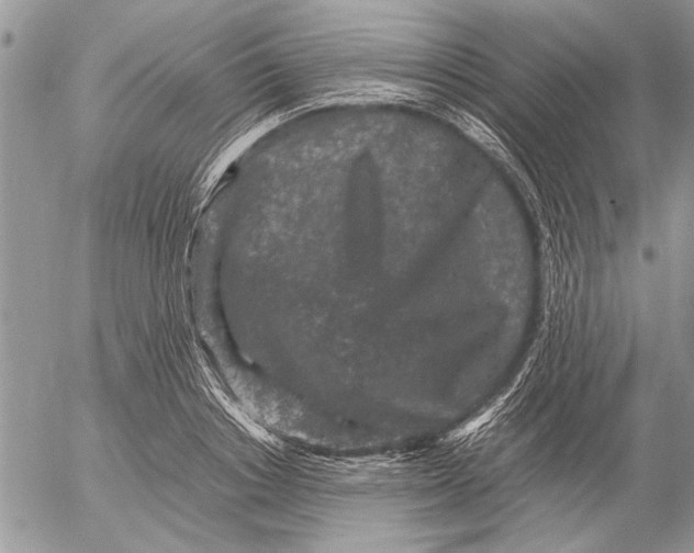 X0000053010842200507291706