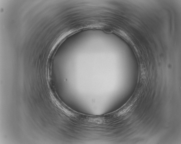 X0000053010843200507291706