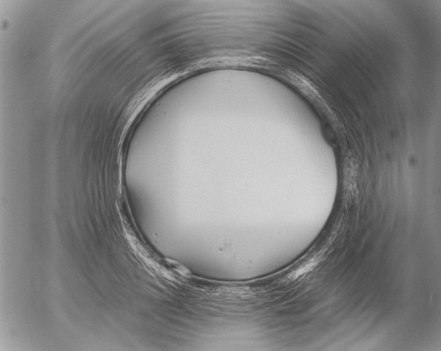 X0000053010844200507291706