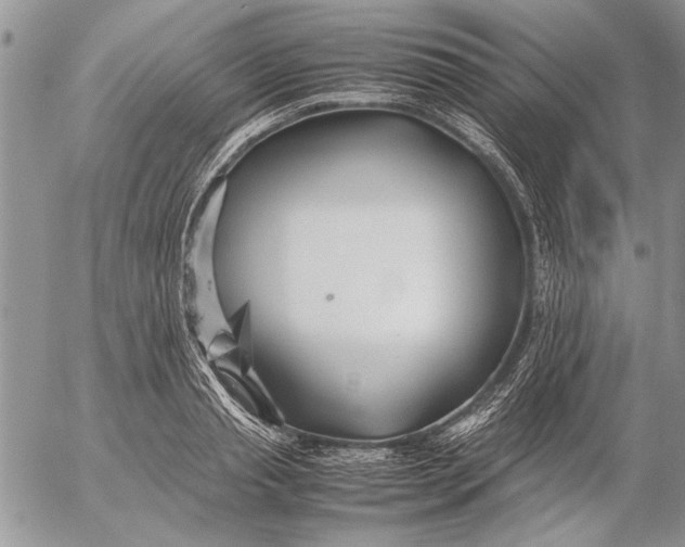 X0000053010845200507291706