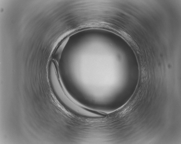 X0000053010846200507291706