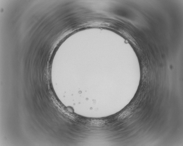 X0000053010848200507291706