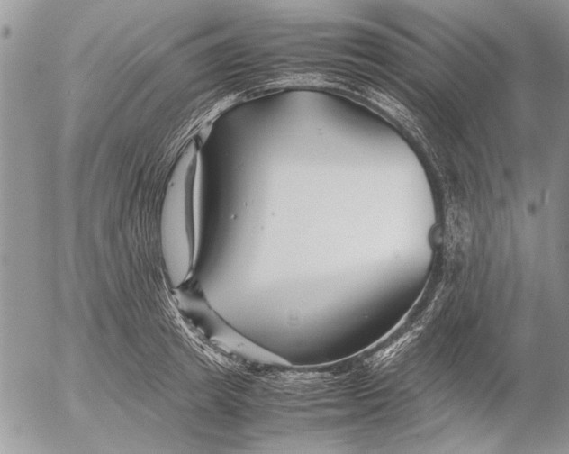 X0000053010849200507291706