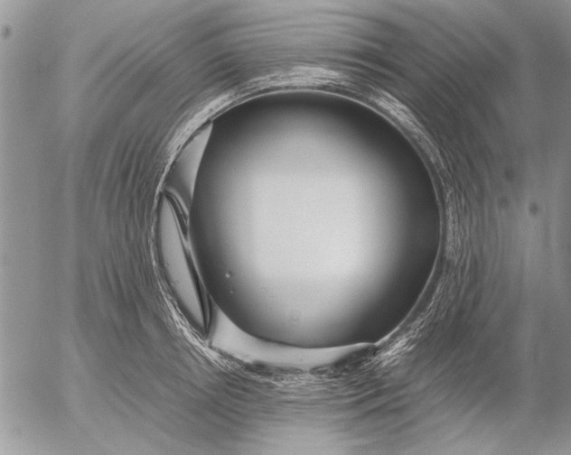 X0000053010850200507291706