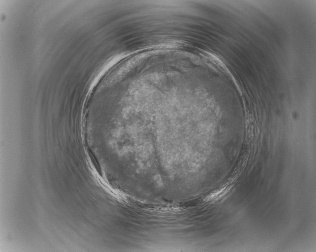 X0000053010851200507291706