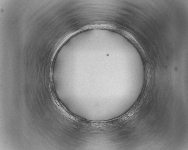 X0000053010852200507291706