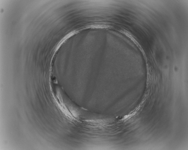 X0000053010853200507291706