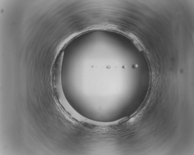 X0000053010854200507291706