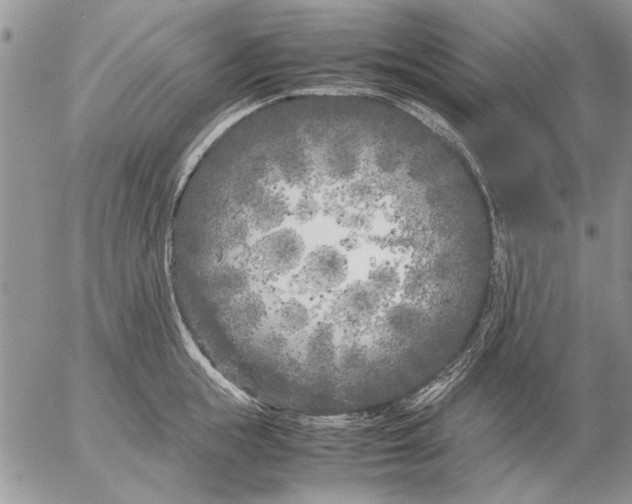 X0000053010855200507291706