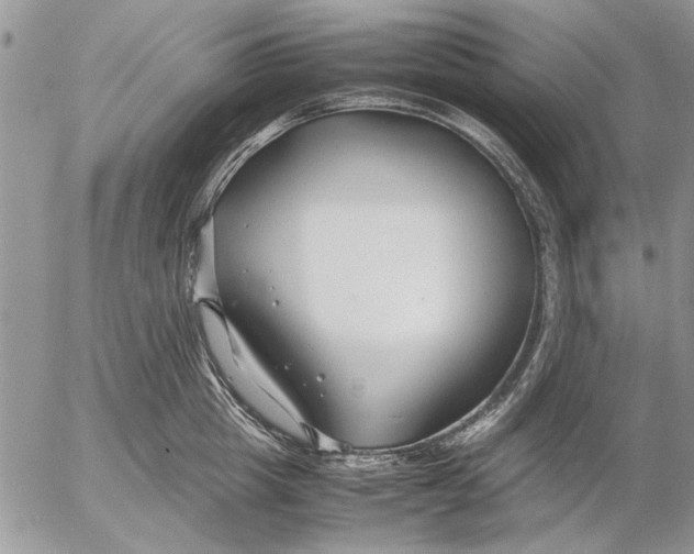 X0000053010857200507291706