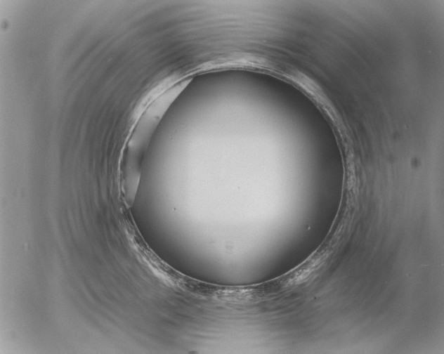 X0000053010858200507291706