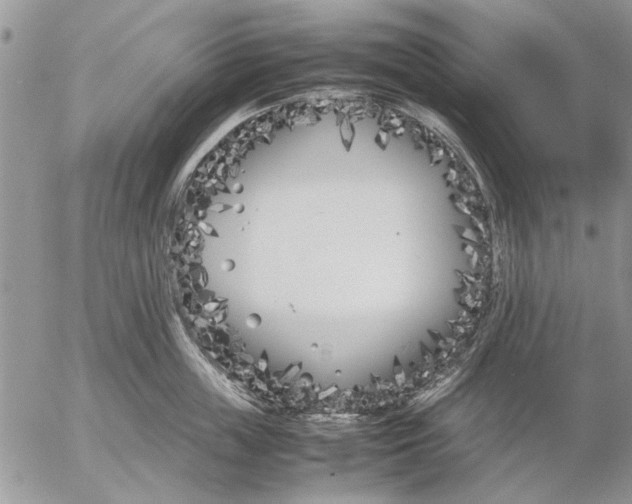 X0000053010859200507291706