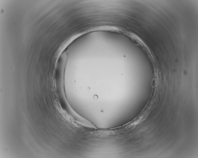 X0000053010860200507291706