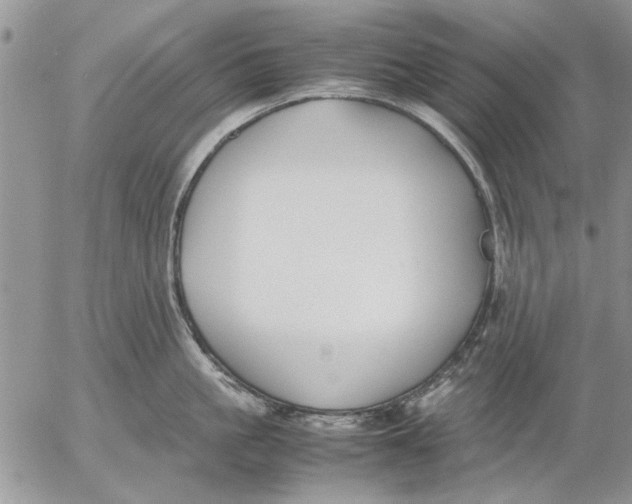 X0000053010861200507291706