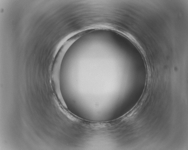 X0000053010862200507291706