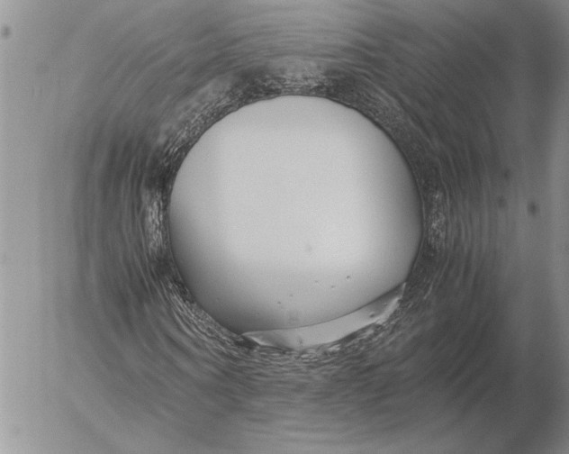 X0000053010866200507291705