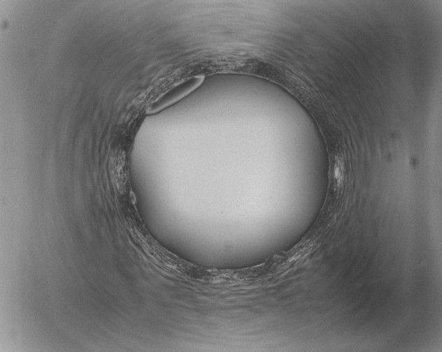 X0000053010867200507291705