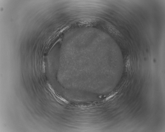 X0000053010868200507291705