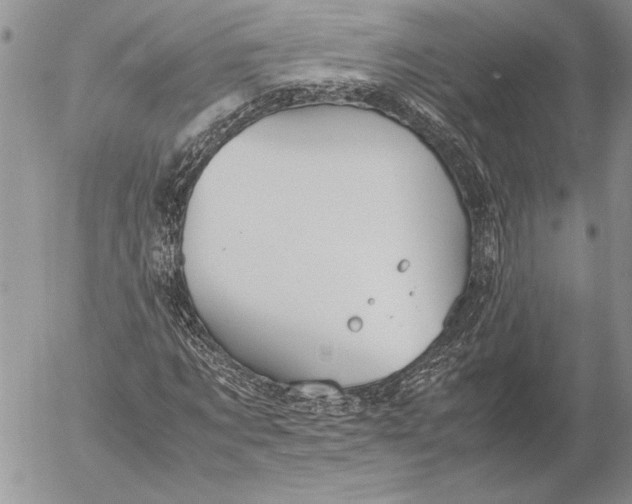 X0000053010869200507291705