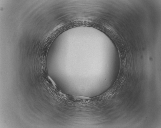 X0000053010870200507291705