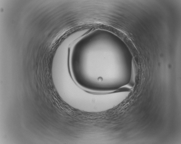 X0000053010871200507291705