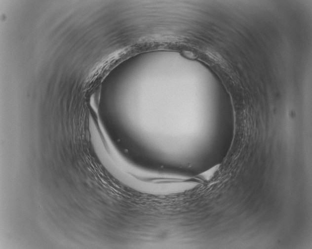 X0000053010872200507291705