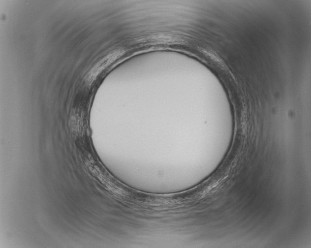 X0000053010873200507291705