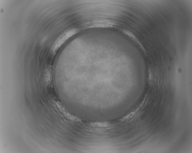 X0000053010874200507291705