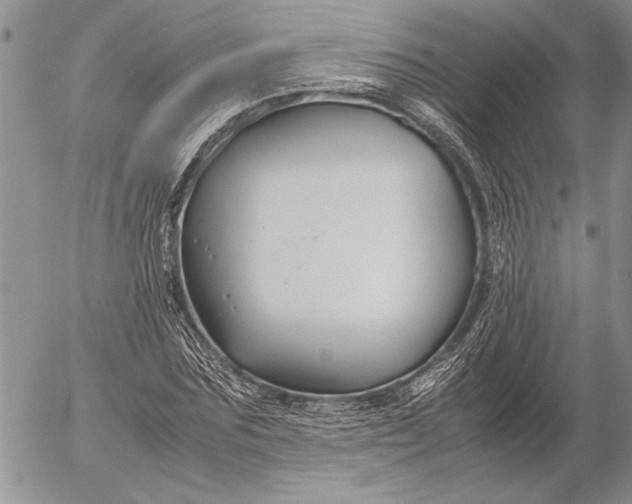 X0000053010875200507291705