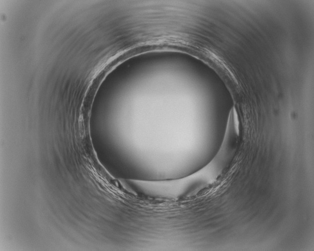 X0000053010876200507291705