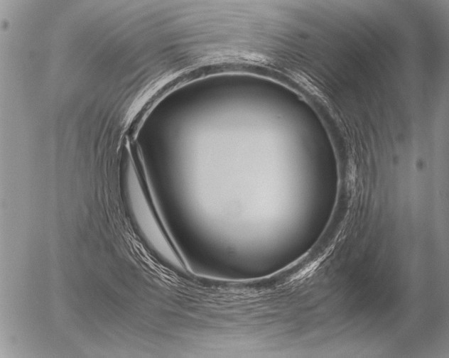 X0000053010877200507291705