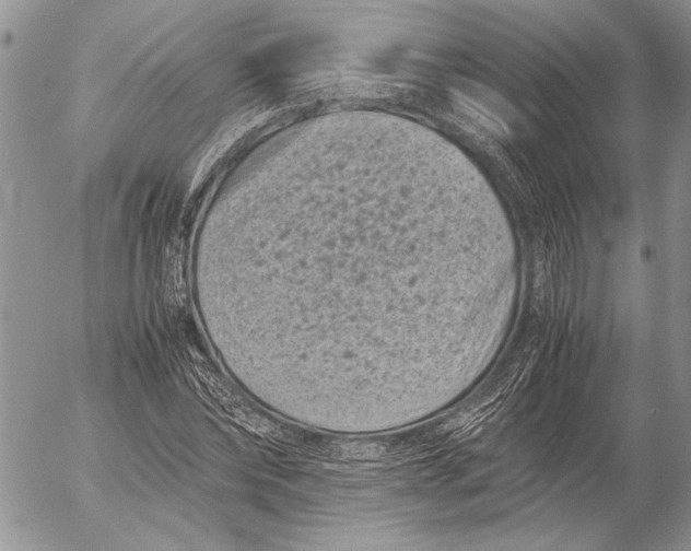 X0000053010878200507291705