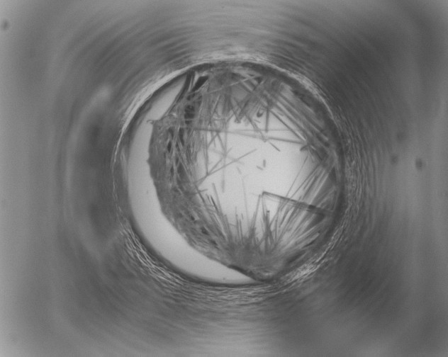 X0000053010879200507291705