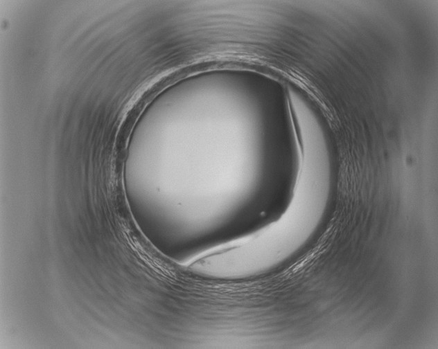 X0000053010880200507291705