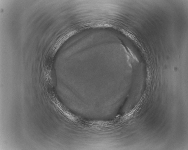 X0000053010881200507291705