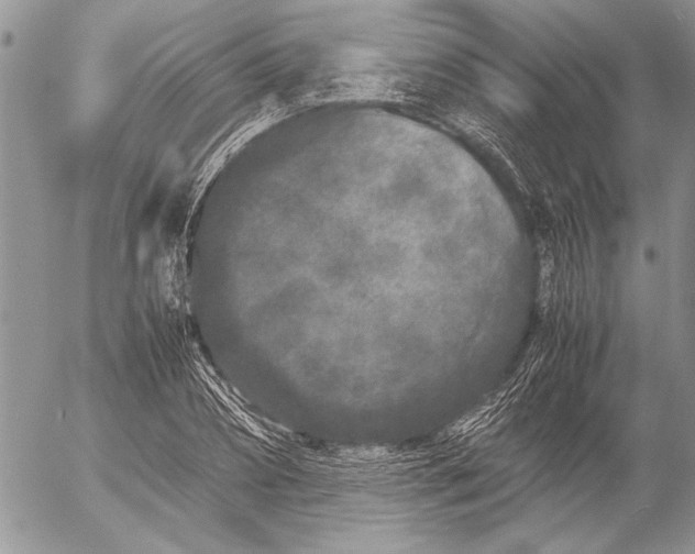 X0000053010882200507291705