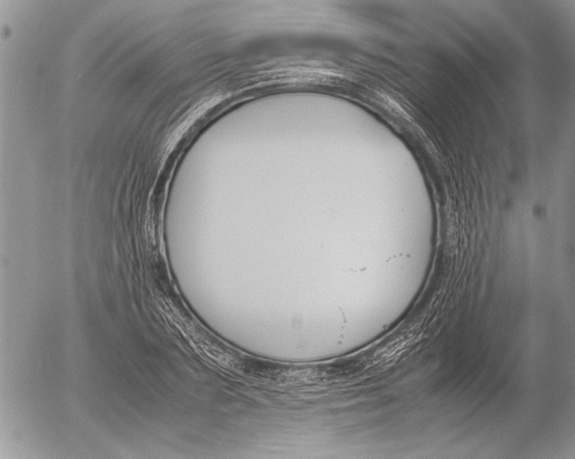 X0000053010883200507291705